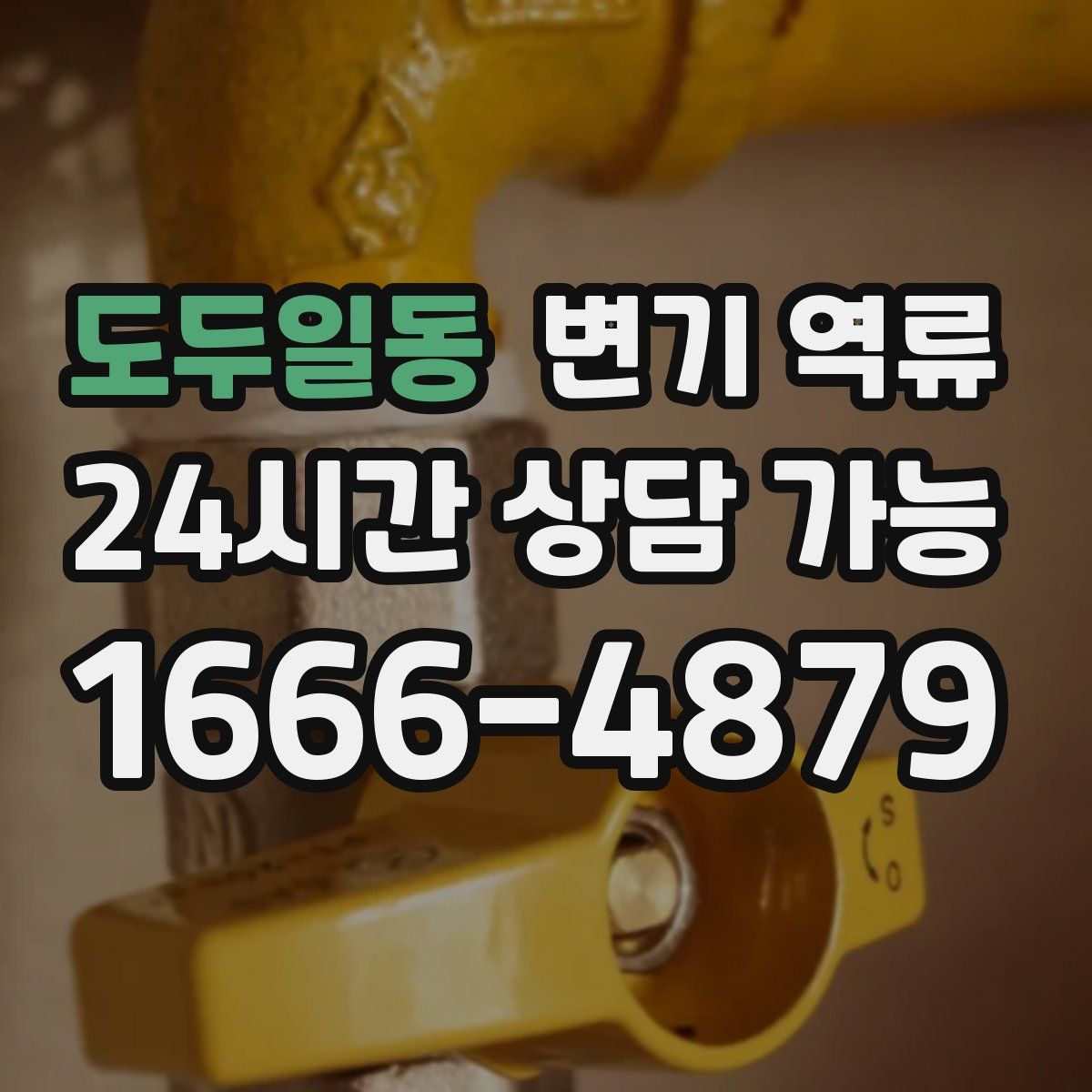 도두일동 변기 역류