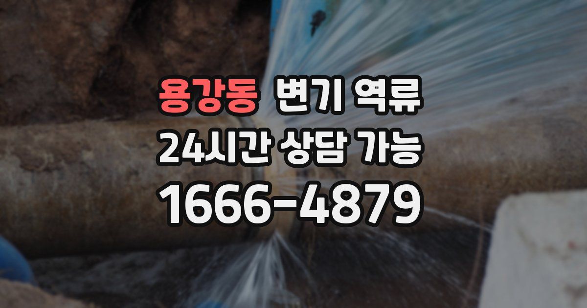 용강동 변기 역류