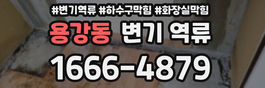 용강동 변기 역류