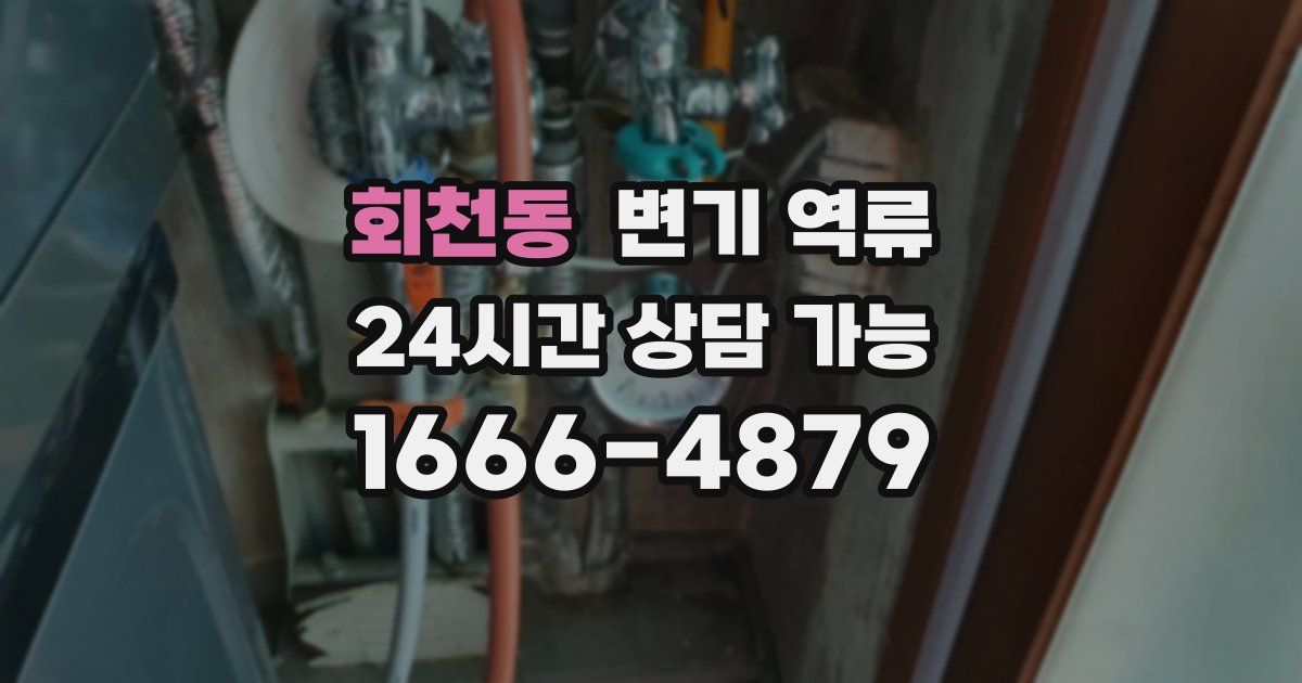 회천동 변기 역류