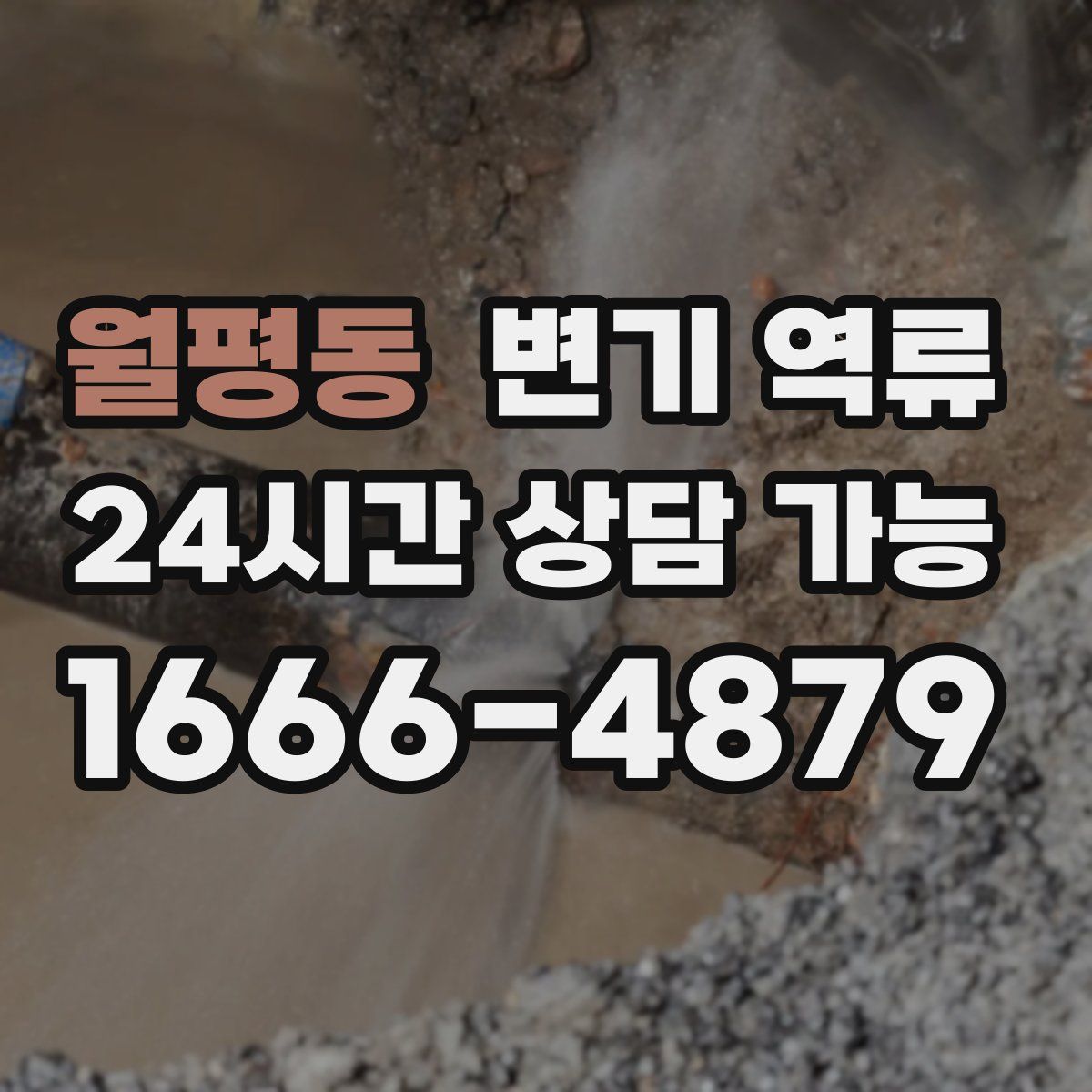 월평동 변기 역류