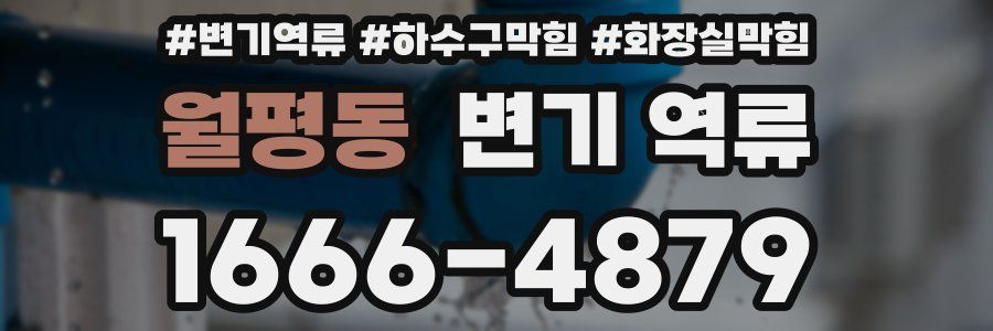 월평동 변기 역류