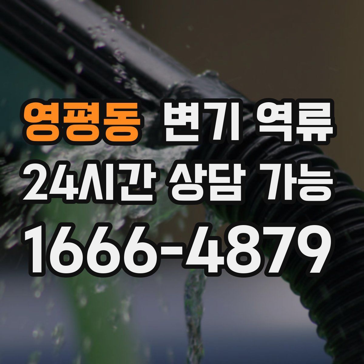 영평동 변기 역류