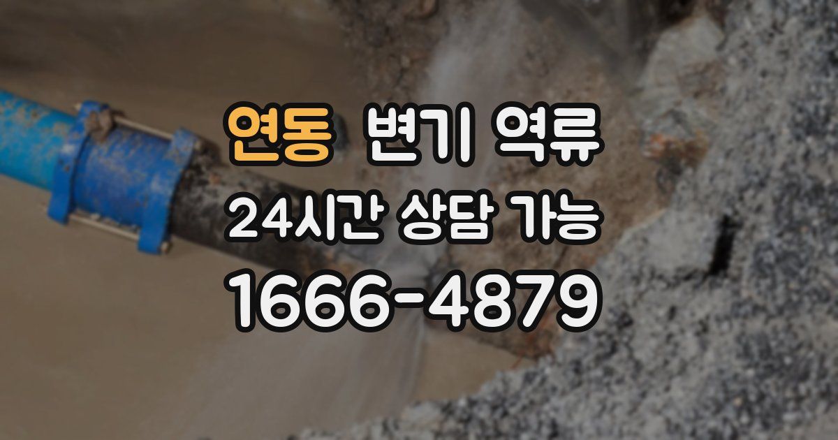 연동 변기 역류