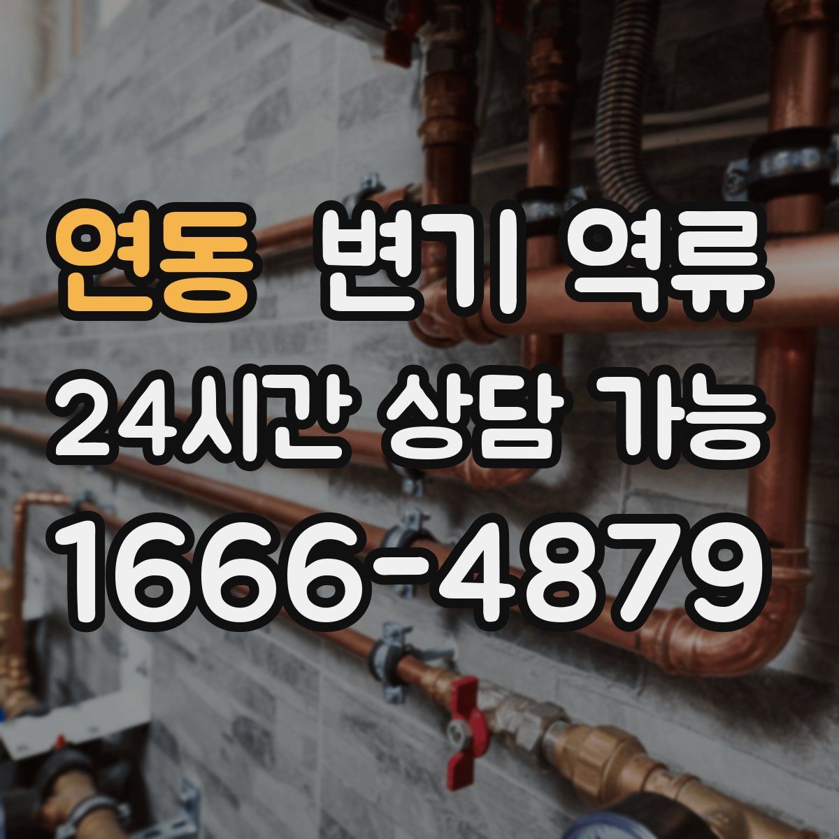 연동 변기 역류