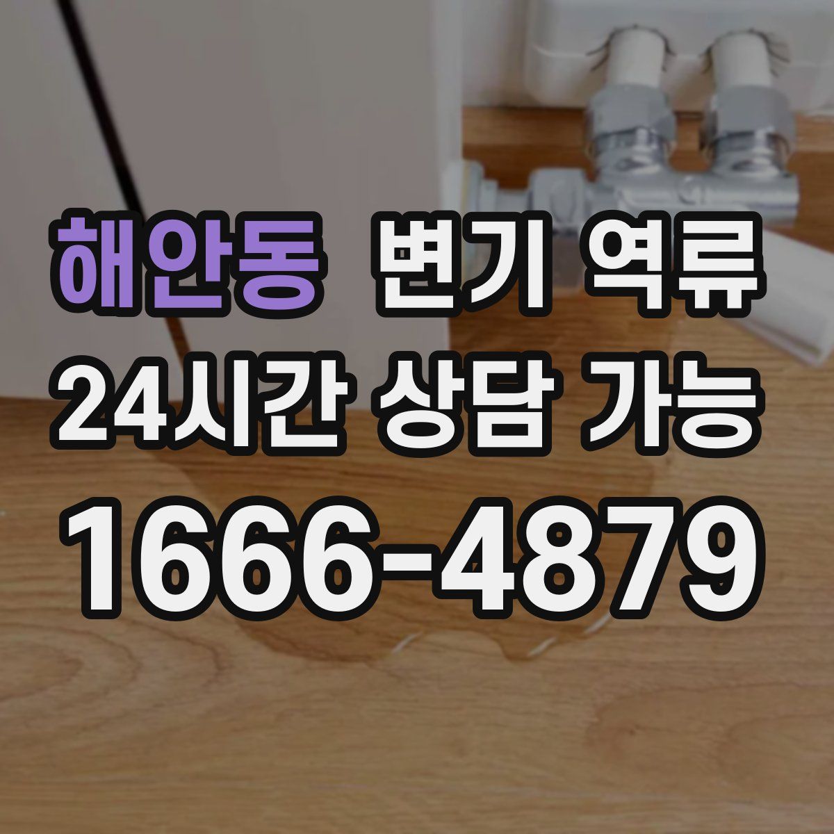 해안동 변기 역류