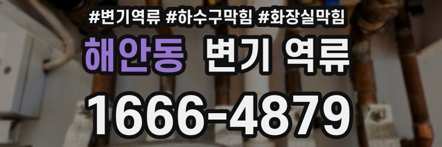 해안동 변기 역류