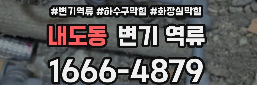 내도동 변기 역류