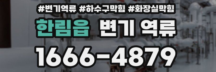 한림읍 변기 역류