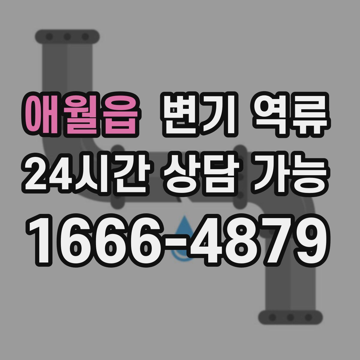 애월읍 변기 역류