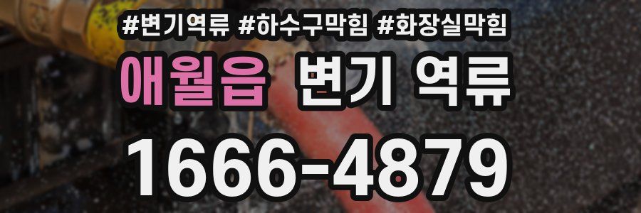 애월읍 변기 역류