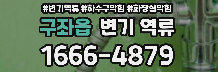 구좌읍 변기 역류