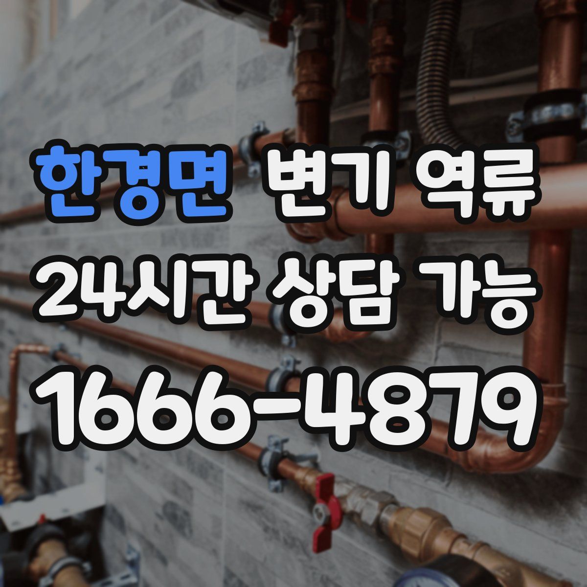 한경면 변기 역류