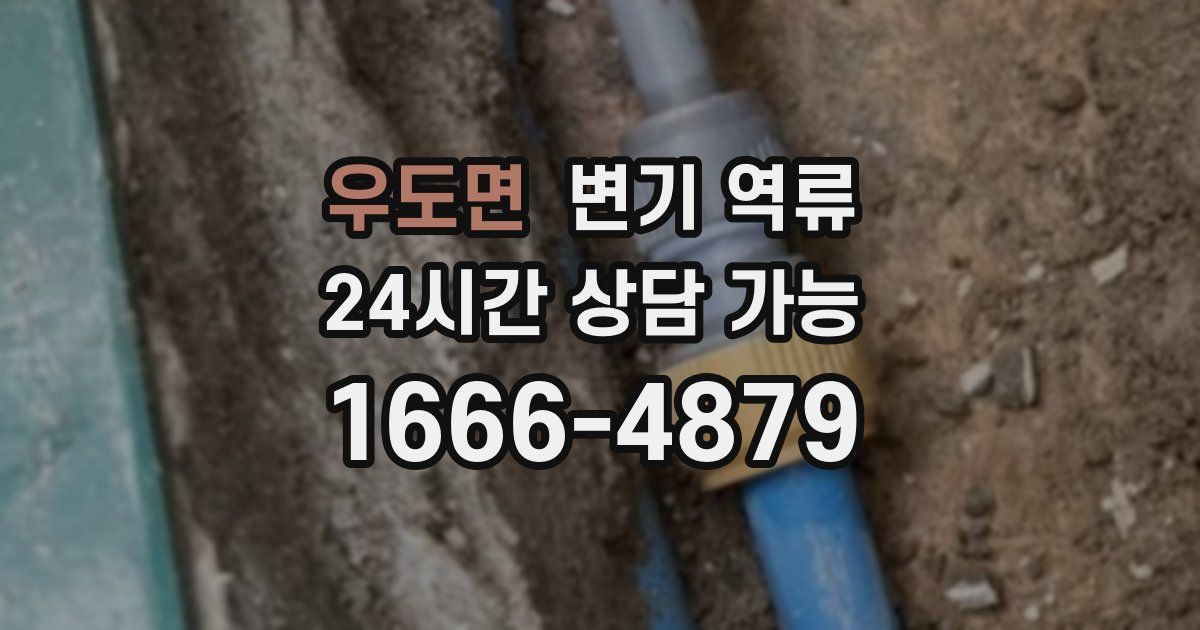 우도면 변기 역류