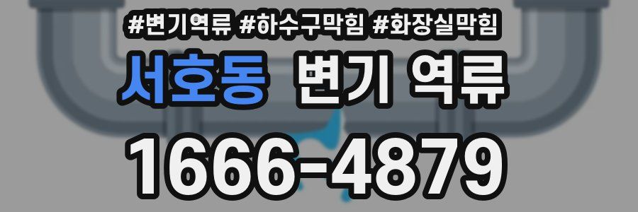 서호동 변기 역류