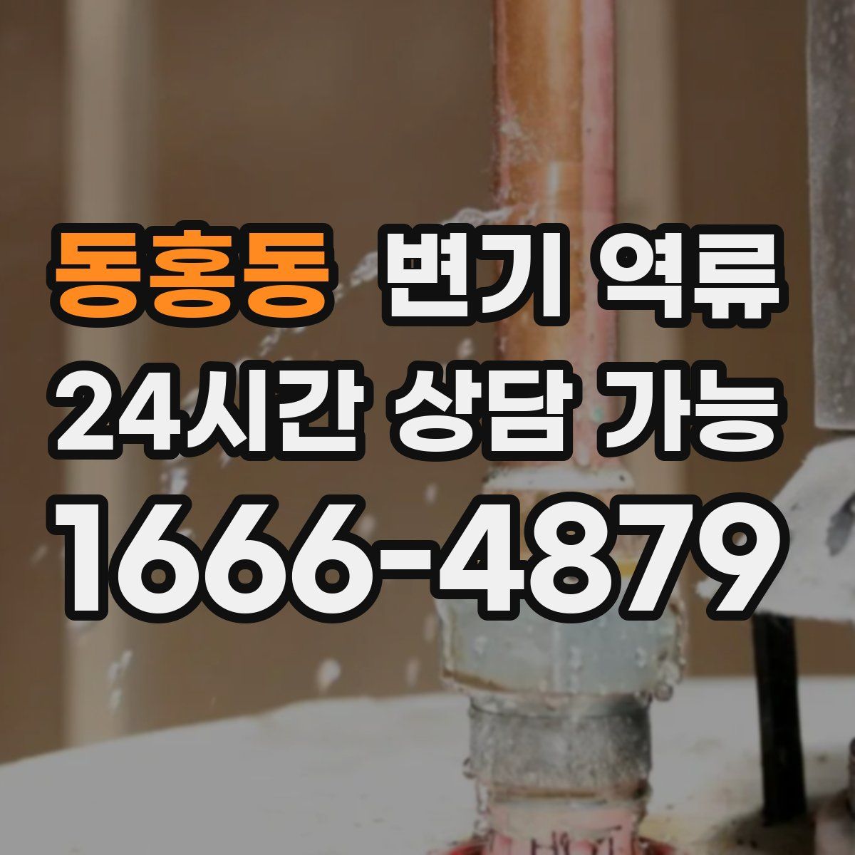 동홍동 변기 역류