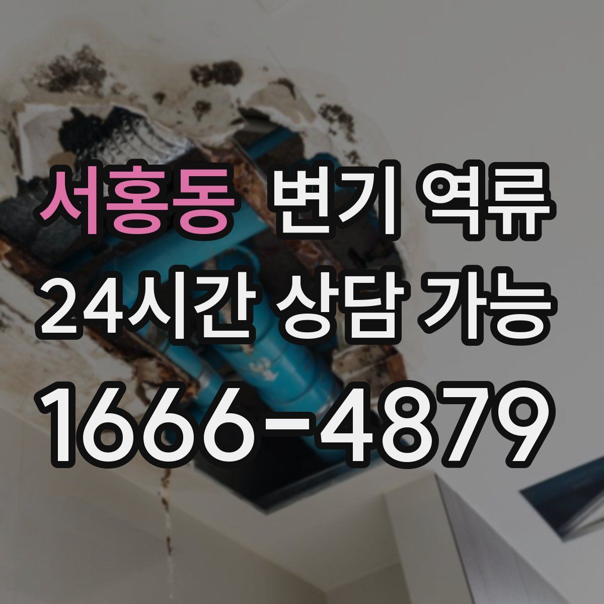 서홍동 변기 역류