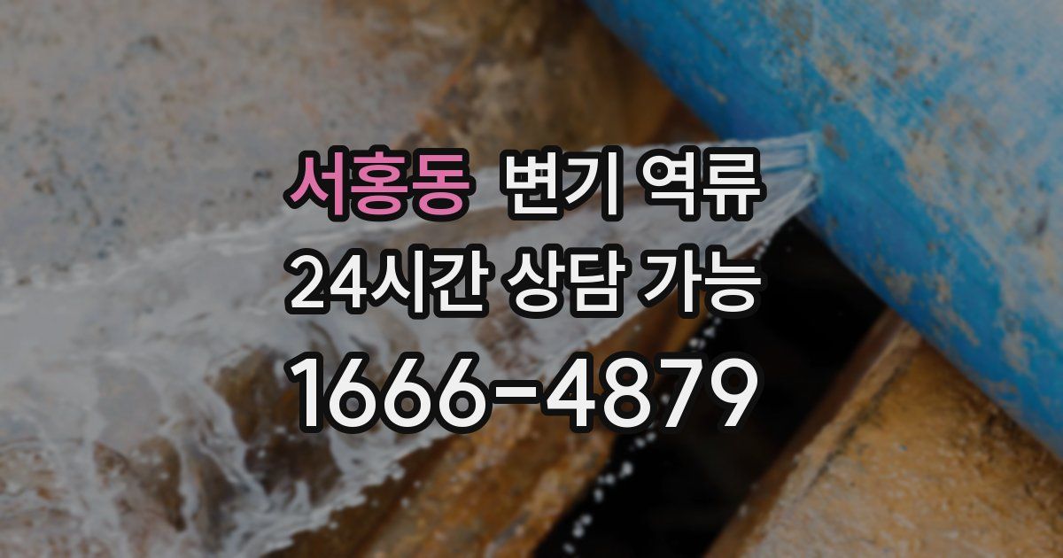서홍동 변기 역류