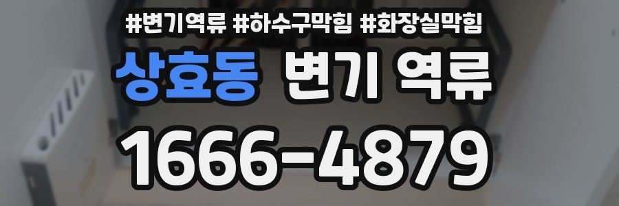 상효동 변기 역류