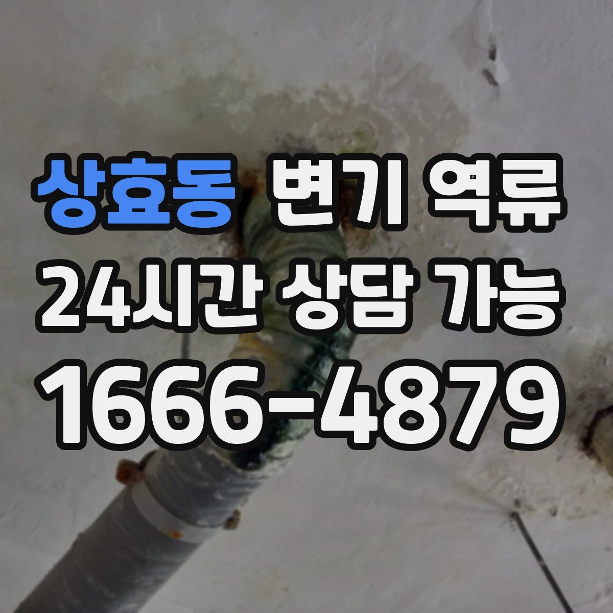 상효동 변기 역류