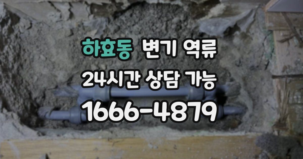 하효동 변기 역류
