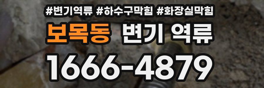 보목동 변기 역류
