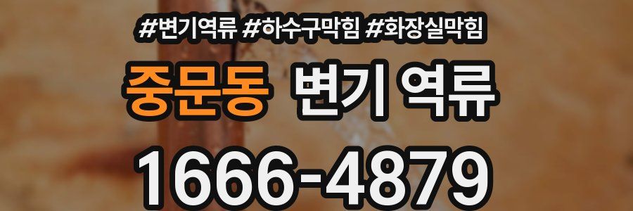 중문동 변기 역류