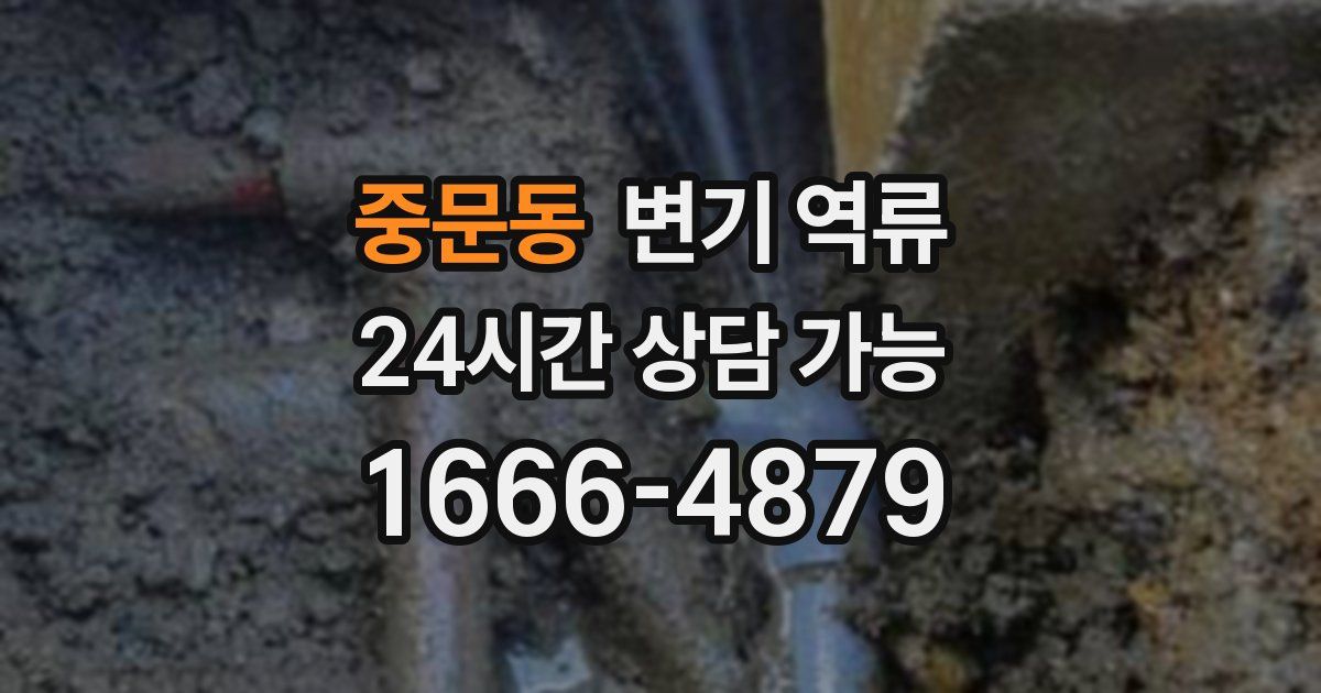 중문동 변기 역류