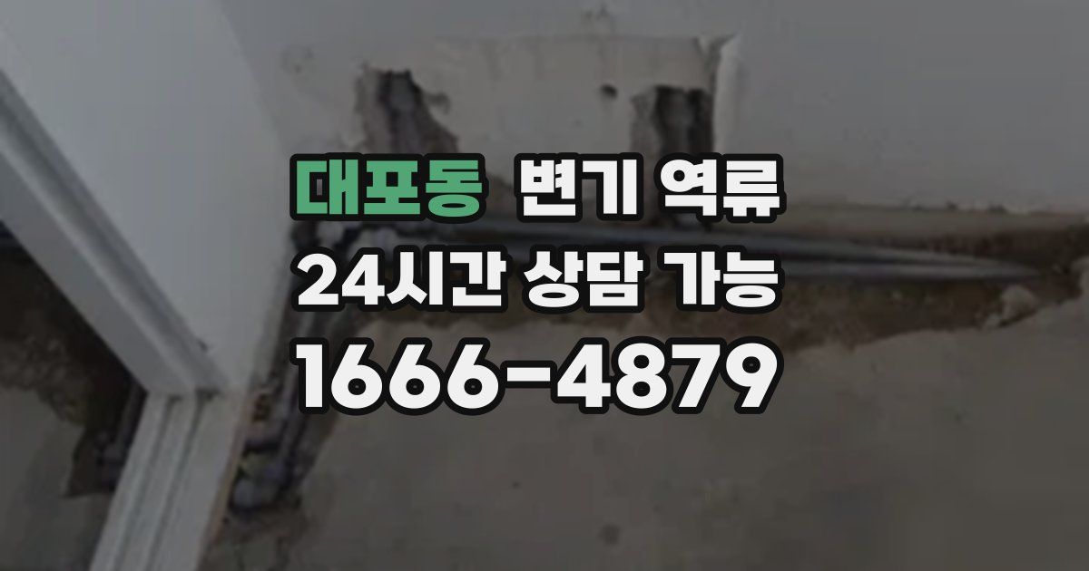 대포동 변기 역류