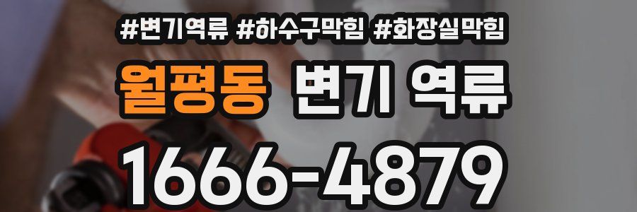 월평동 변기 역류