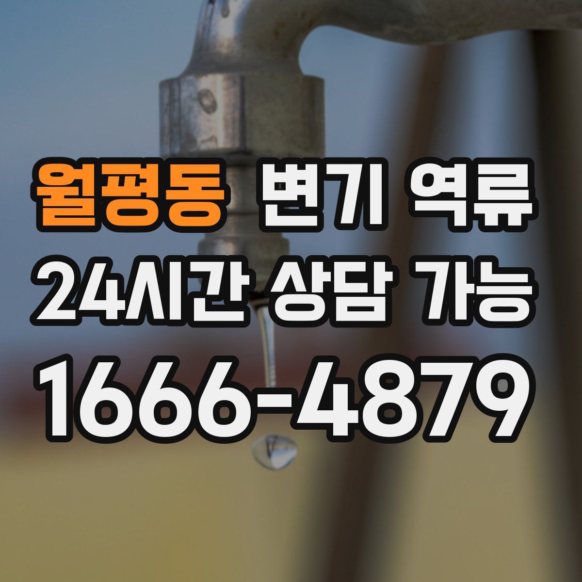월평동 변기 역류