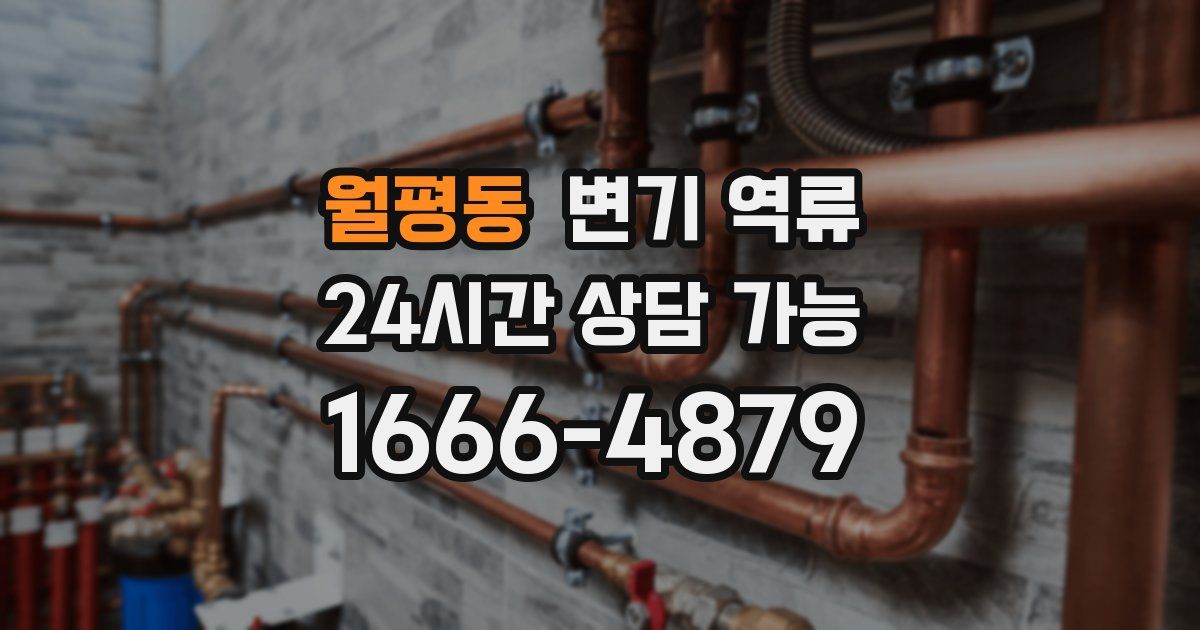 월평동 변기 역류