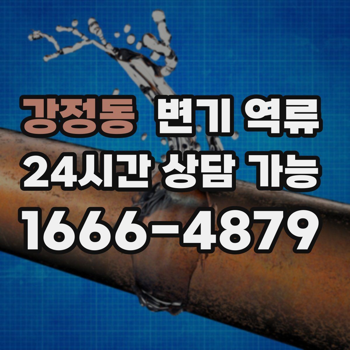 강정동 변기 역류 재발 가능성이 높은 집의 공통점