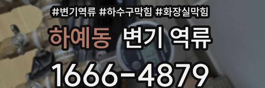 하예동 변기 역류