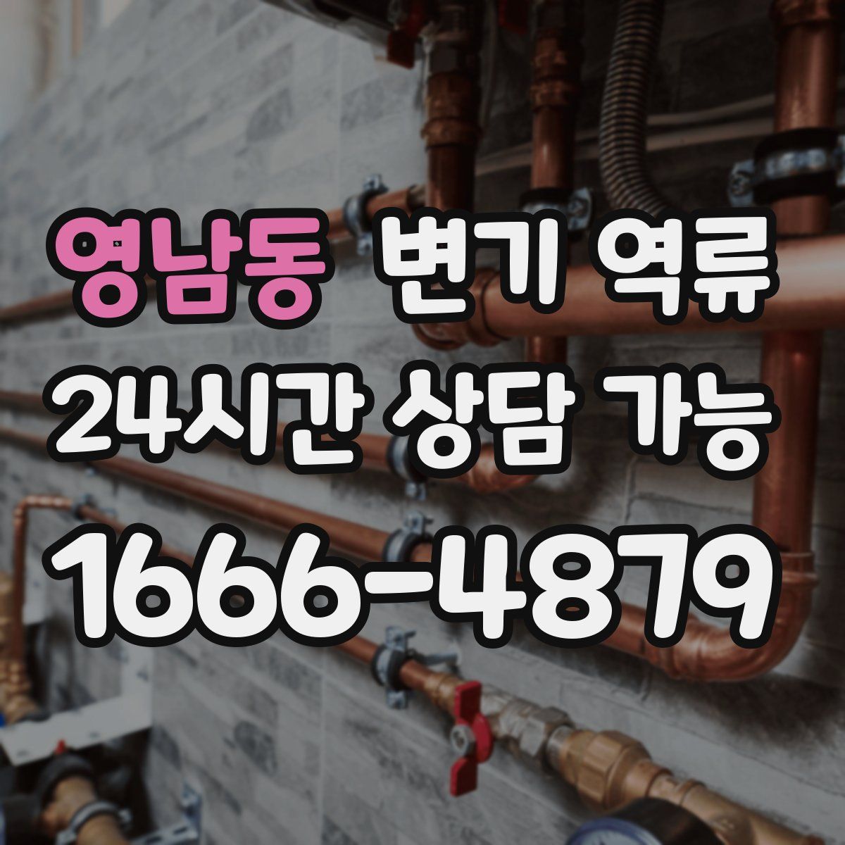 영남동 변기 역류