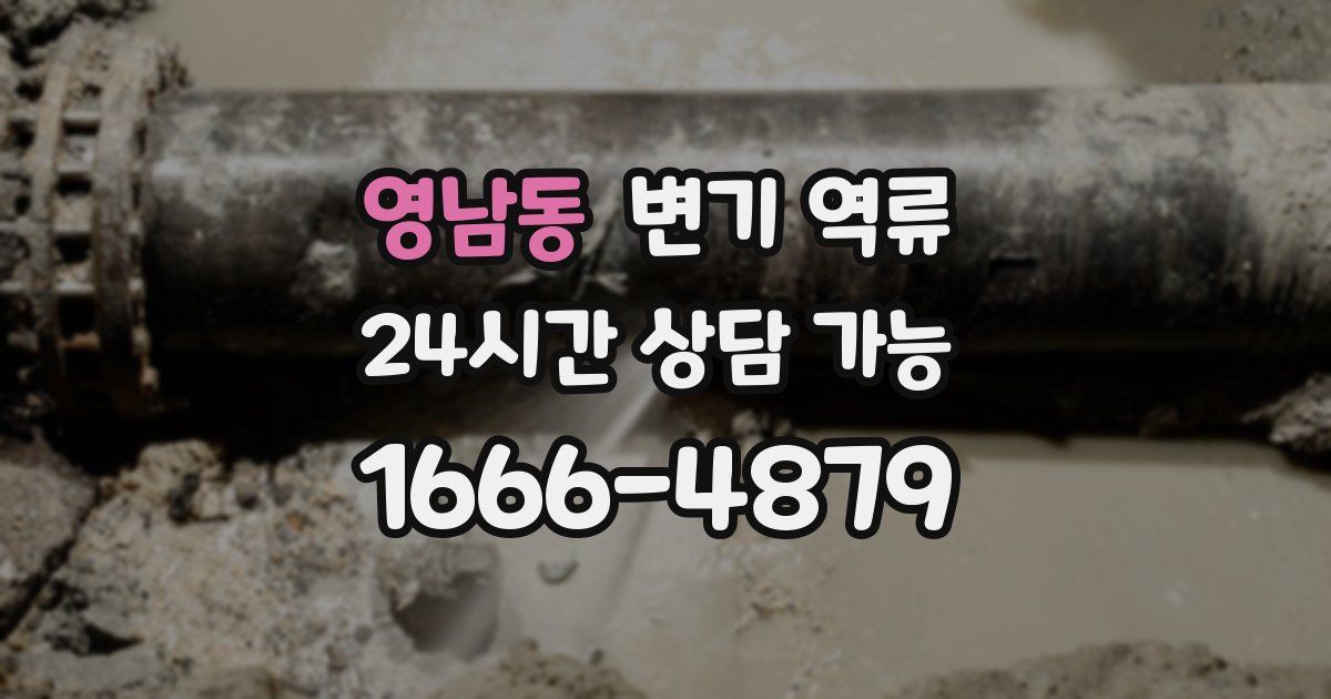 영남동 변기 역류