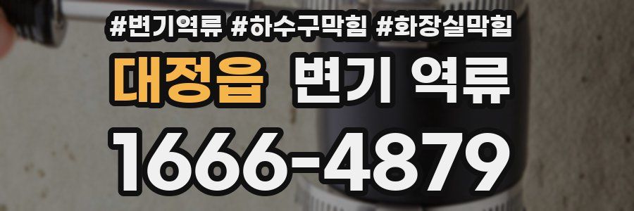 대정읍 변기 역류