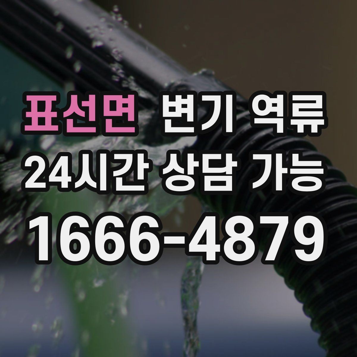 표선면 변기 역류 같은 라인 세대까지 발생하면 어디를 의심할까