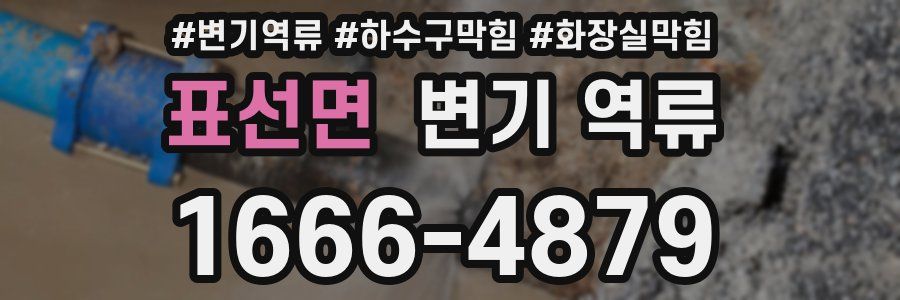 표선면 변기 역류