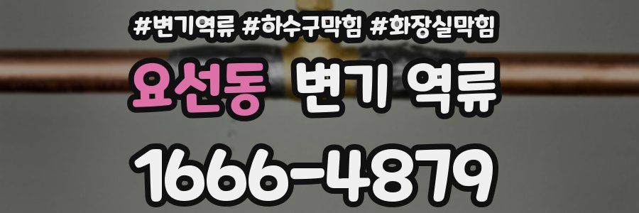 요선동 변기 역류