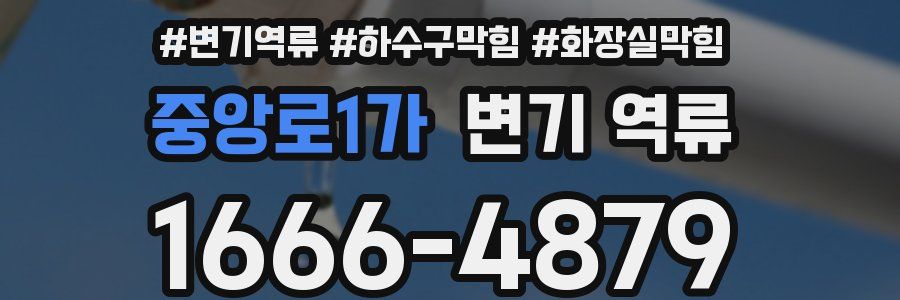 중앙로1가 변기 역류