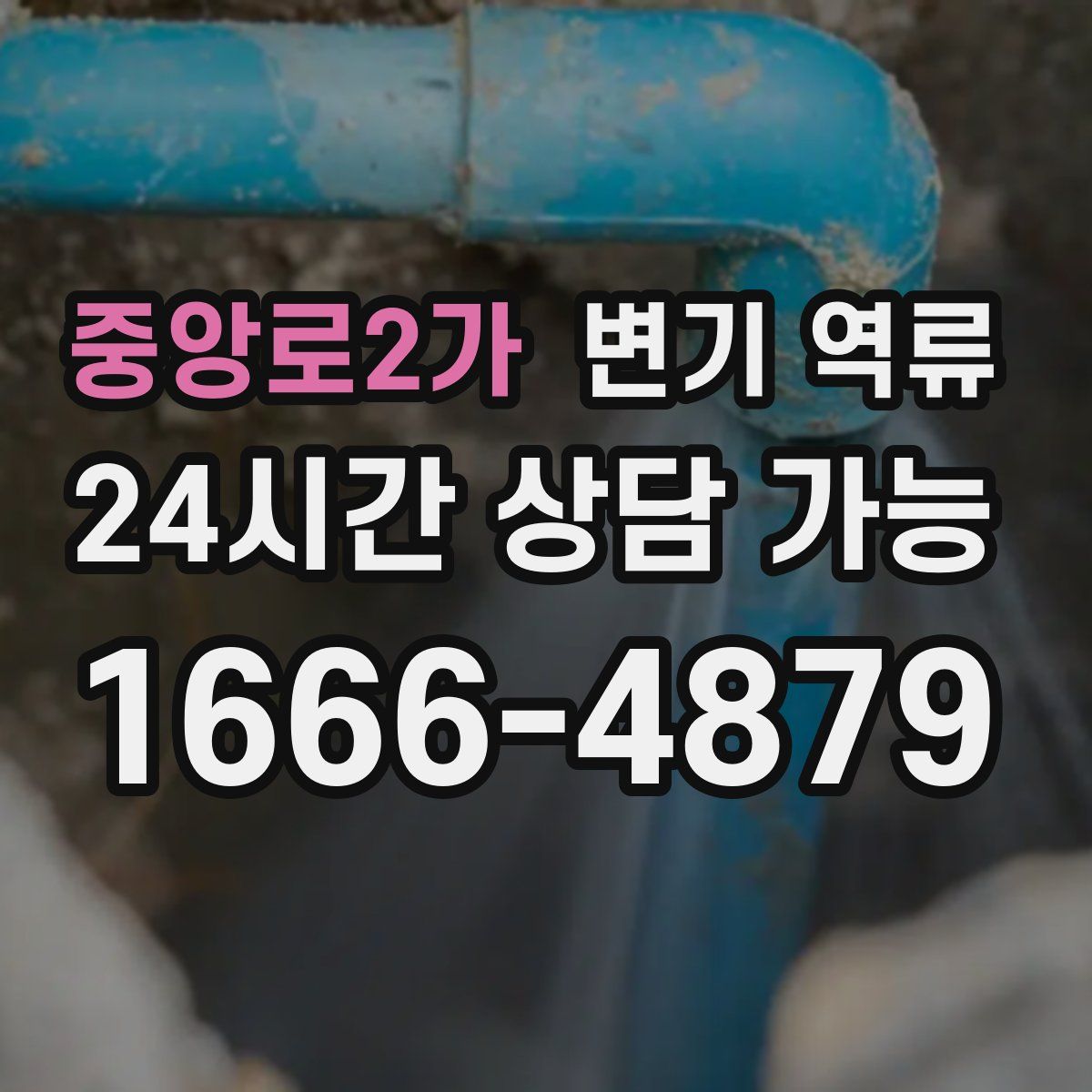 중앙로2가 변기 역류