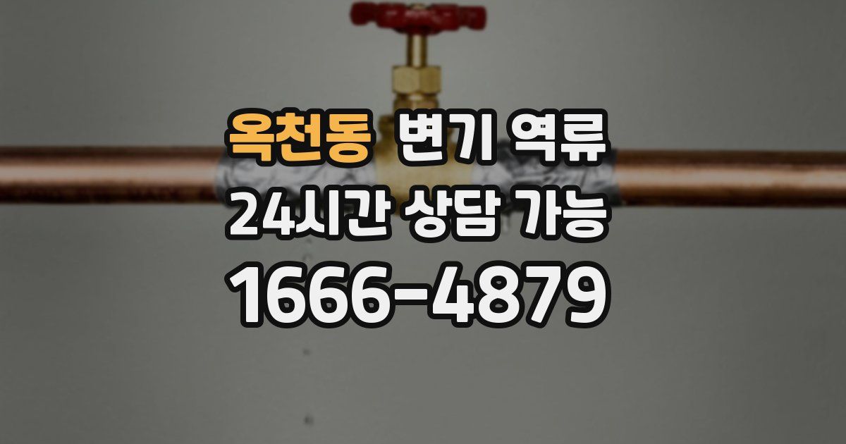 옥천동 변기 역류