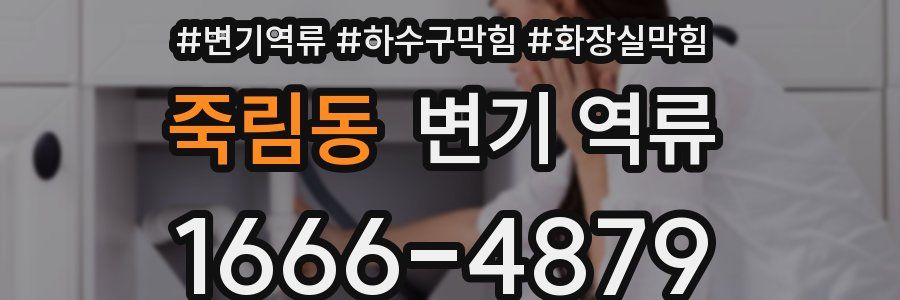 죽림동 변기 역류