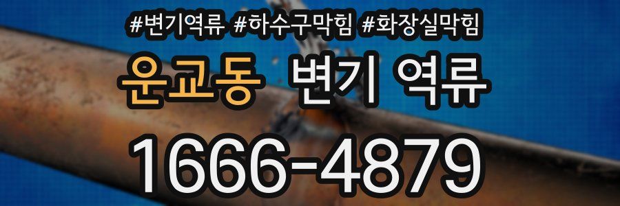 운교동 변기 역류