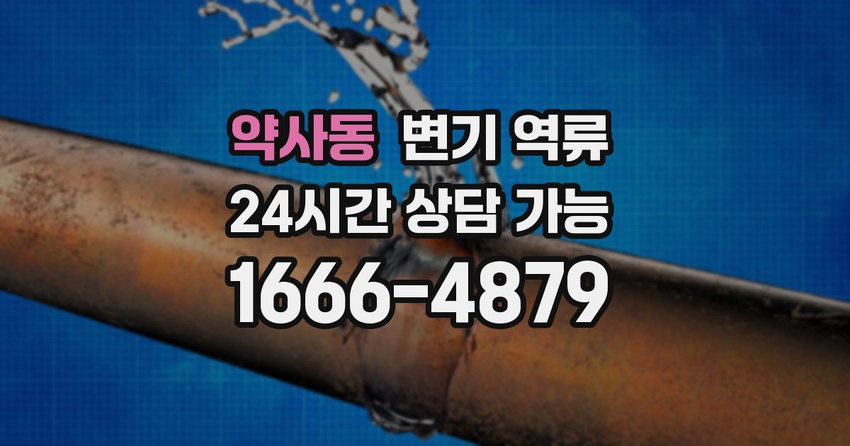 약사동 변기 역류