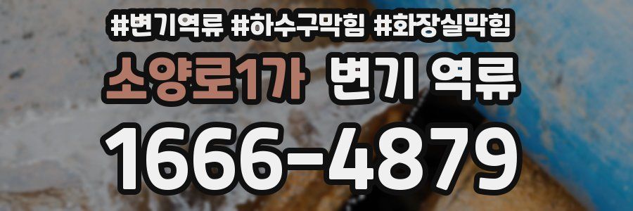 소양로1가 변기 역류
