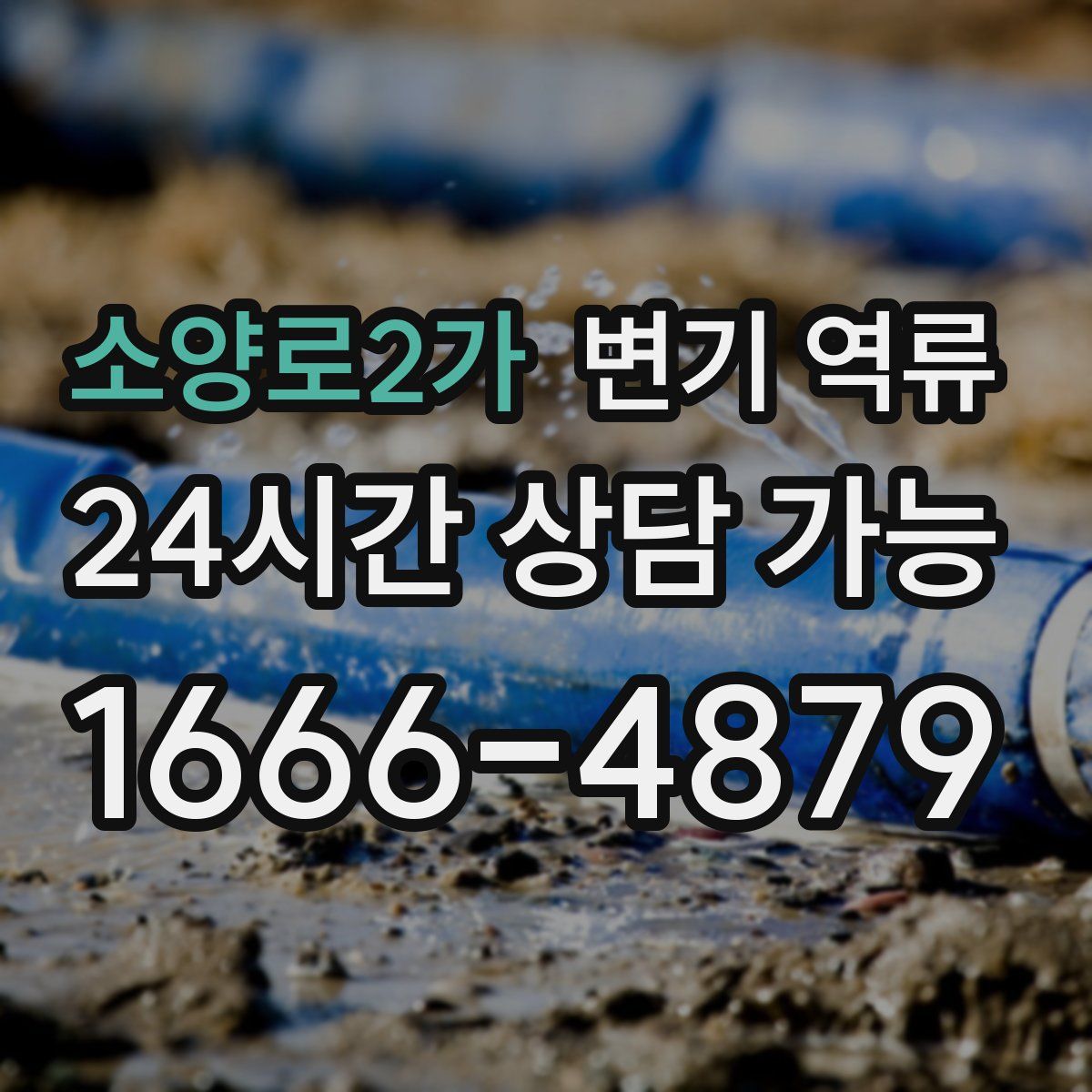 소양로2가 변기 역류