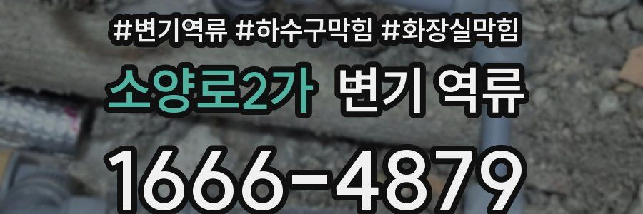 소양로2가 변기 역류