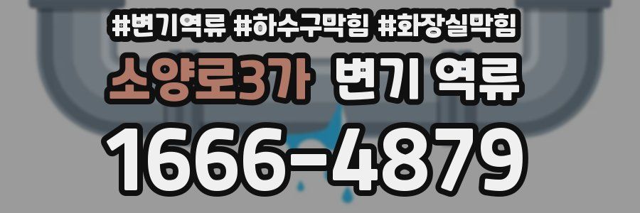소양로3가 변기 역류